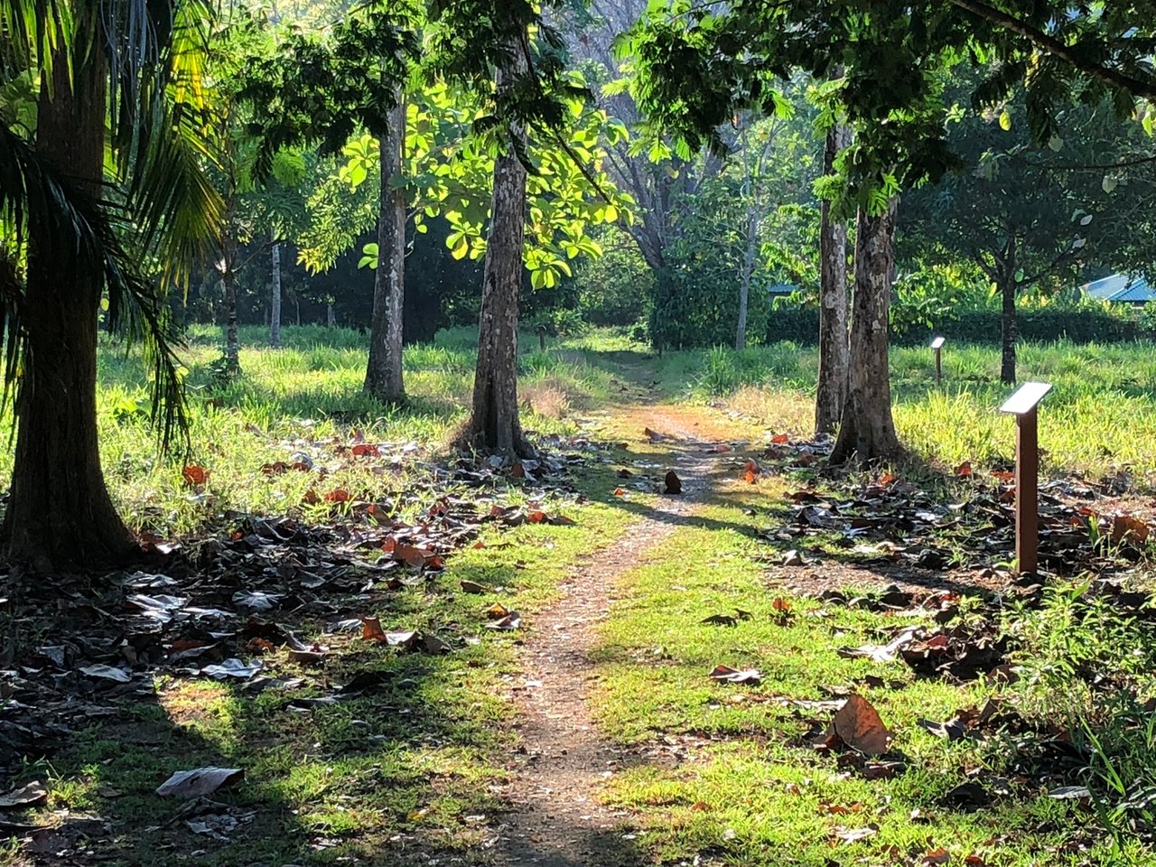 Coastal Development Land, Dominical, Puntarenas
