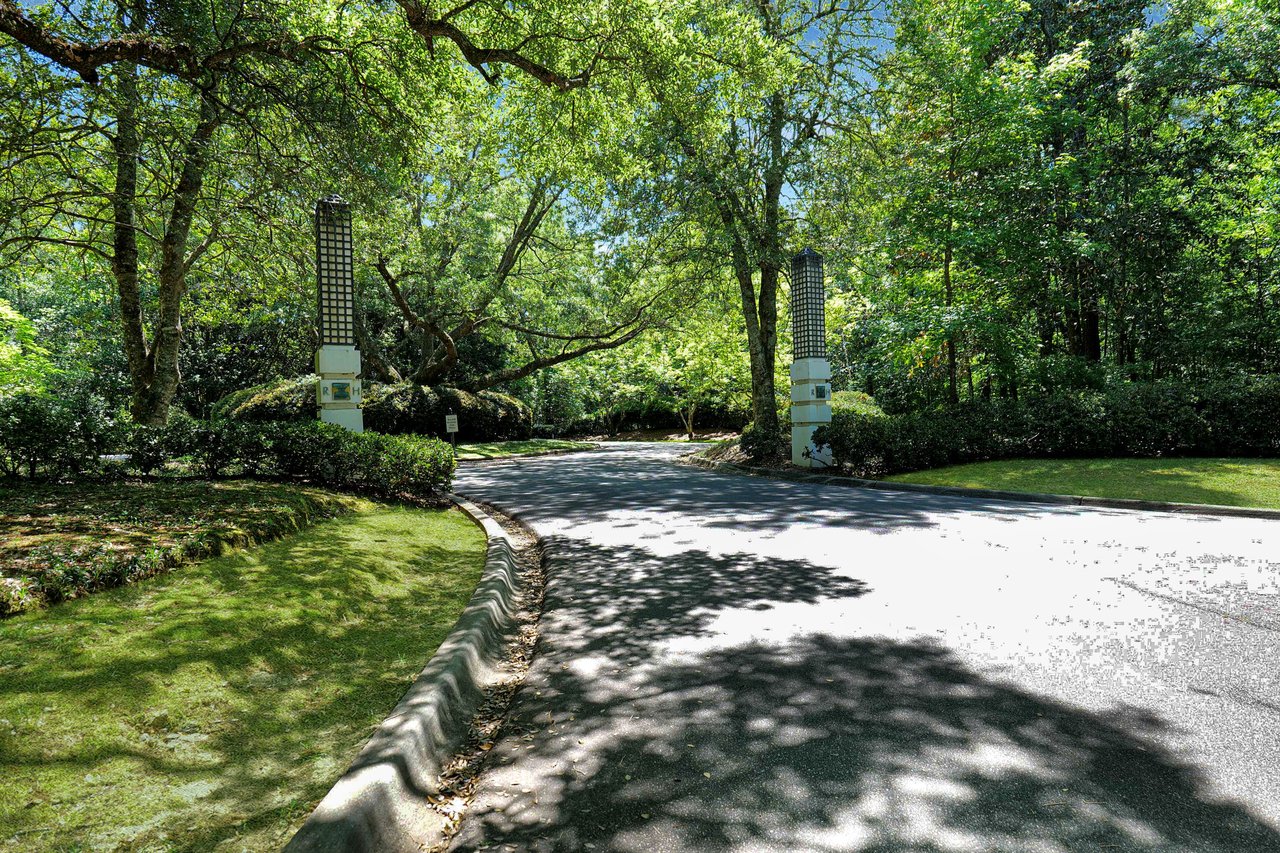 A ground-level view of a residential street in Rosehill with a canopy of trees creating a shaded, picturesque scene.