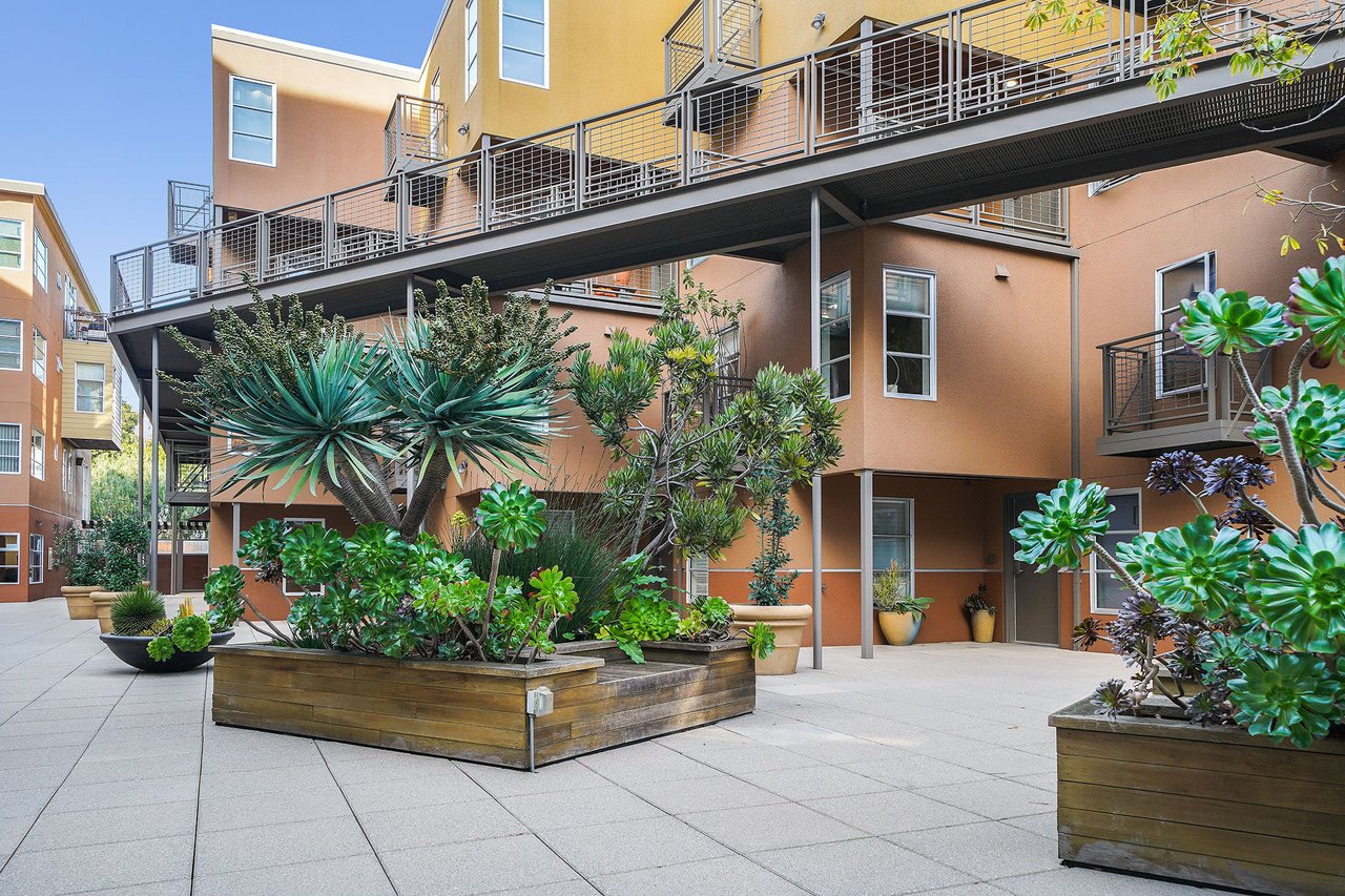 25 Sierra St, #202