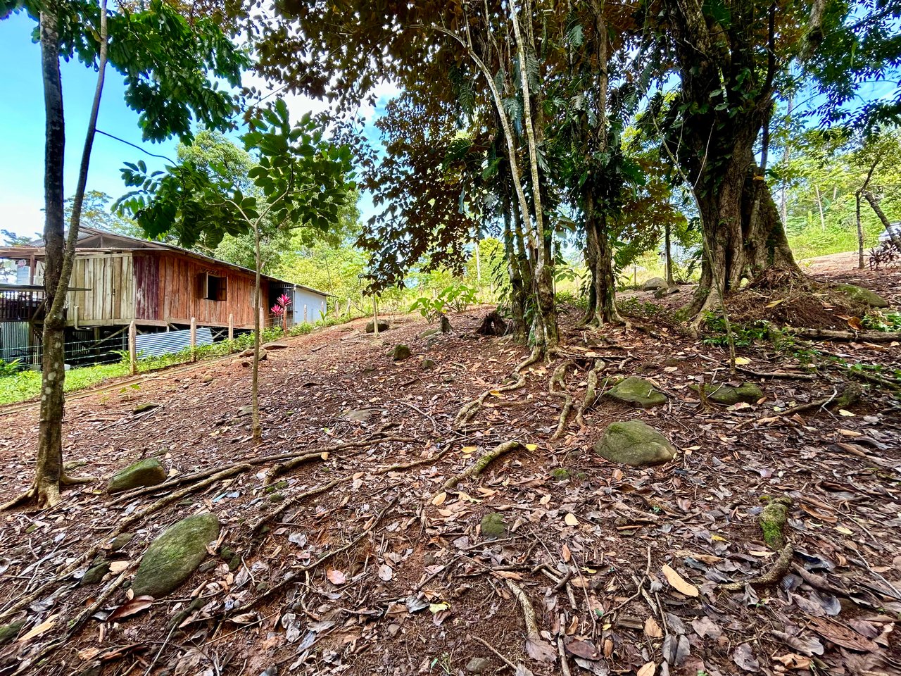 Jungle Side Lots in Uvita, Walking Distance to Amenities