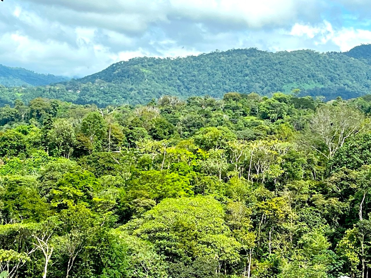 Luxury Development Land, Uvita, Puntarenas