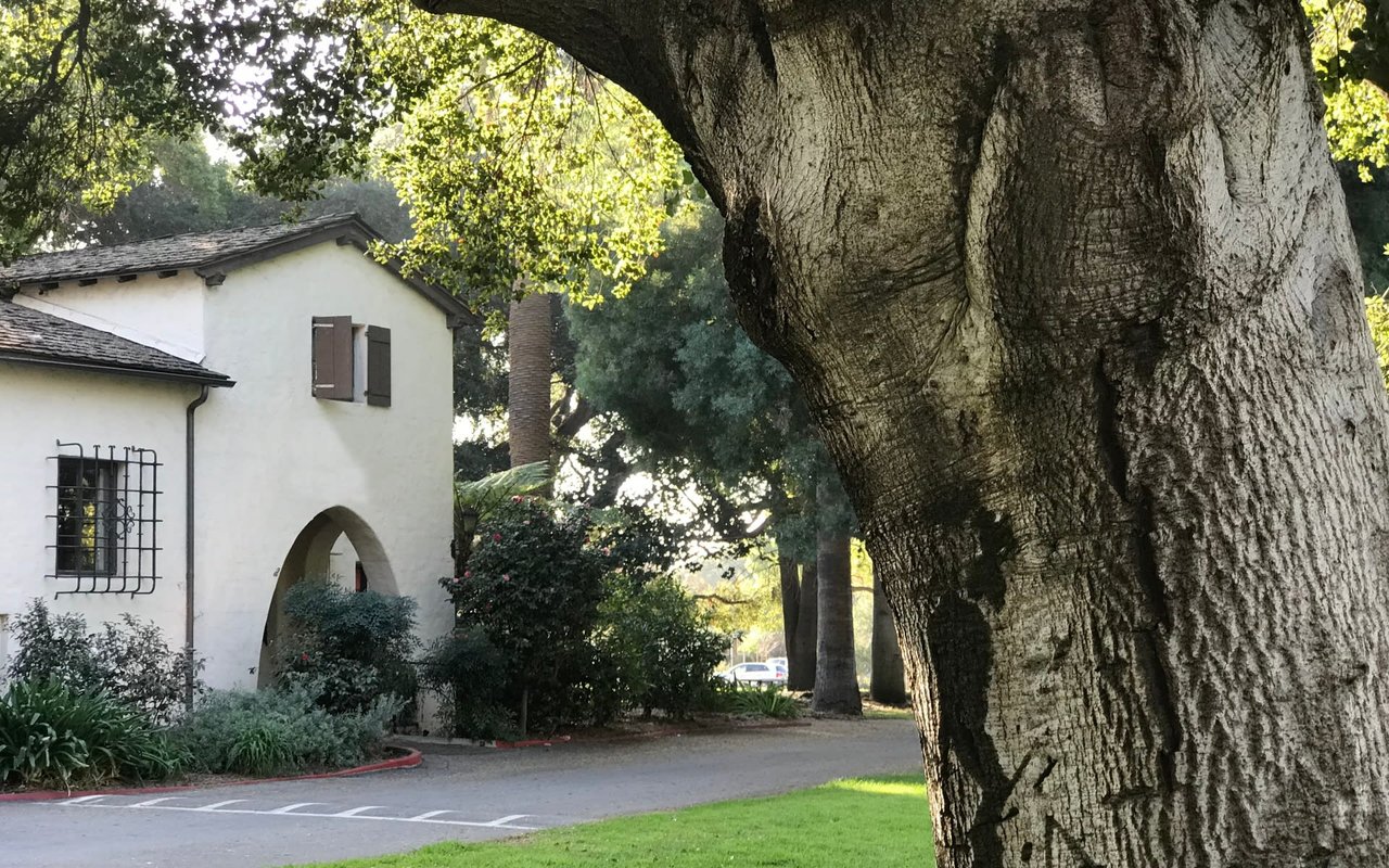 A white building with a red tile roof and a stone archway entrance framed by a large oak tree