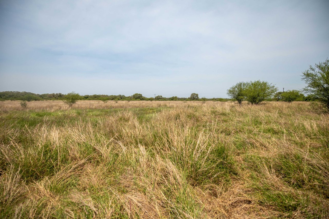 Green DeWitt Rd | 40.82± Acres | DeWitt County