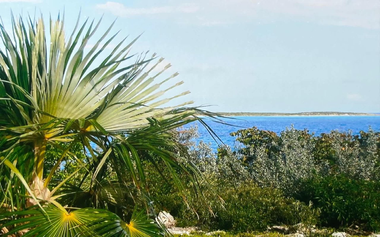 Ben's Cay Private Island