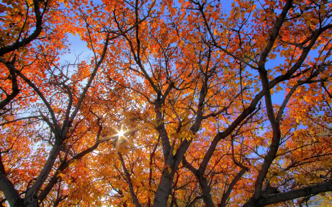 Where to Watch the Leaves Change in Indiana, Kentucky and Michigan