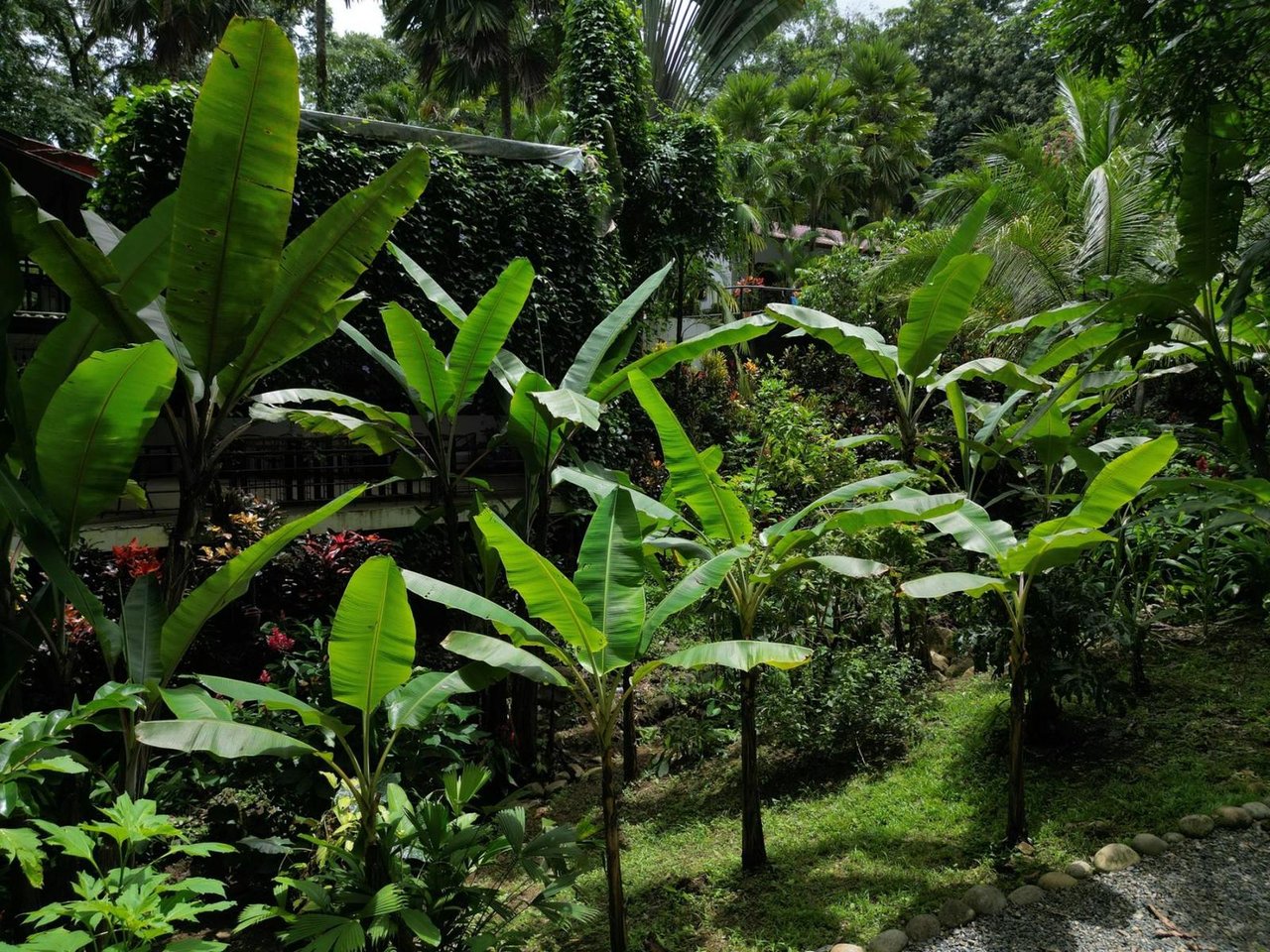 Riverside Boutique Villa Resort, Ojochal, Puntarenas