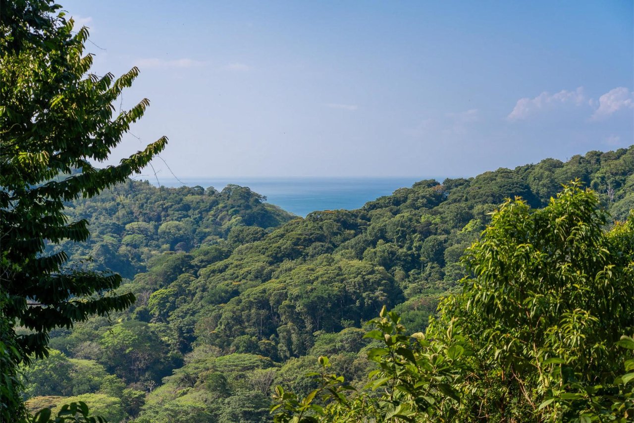 Private Ocean View Development Lot, Dominical, Puntarenas