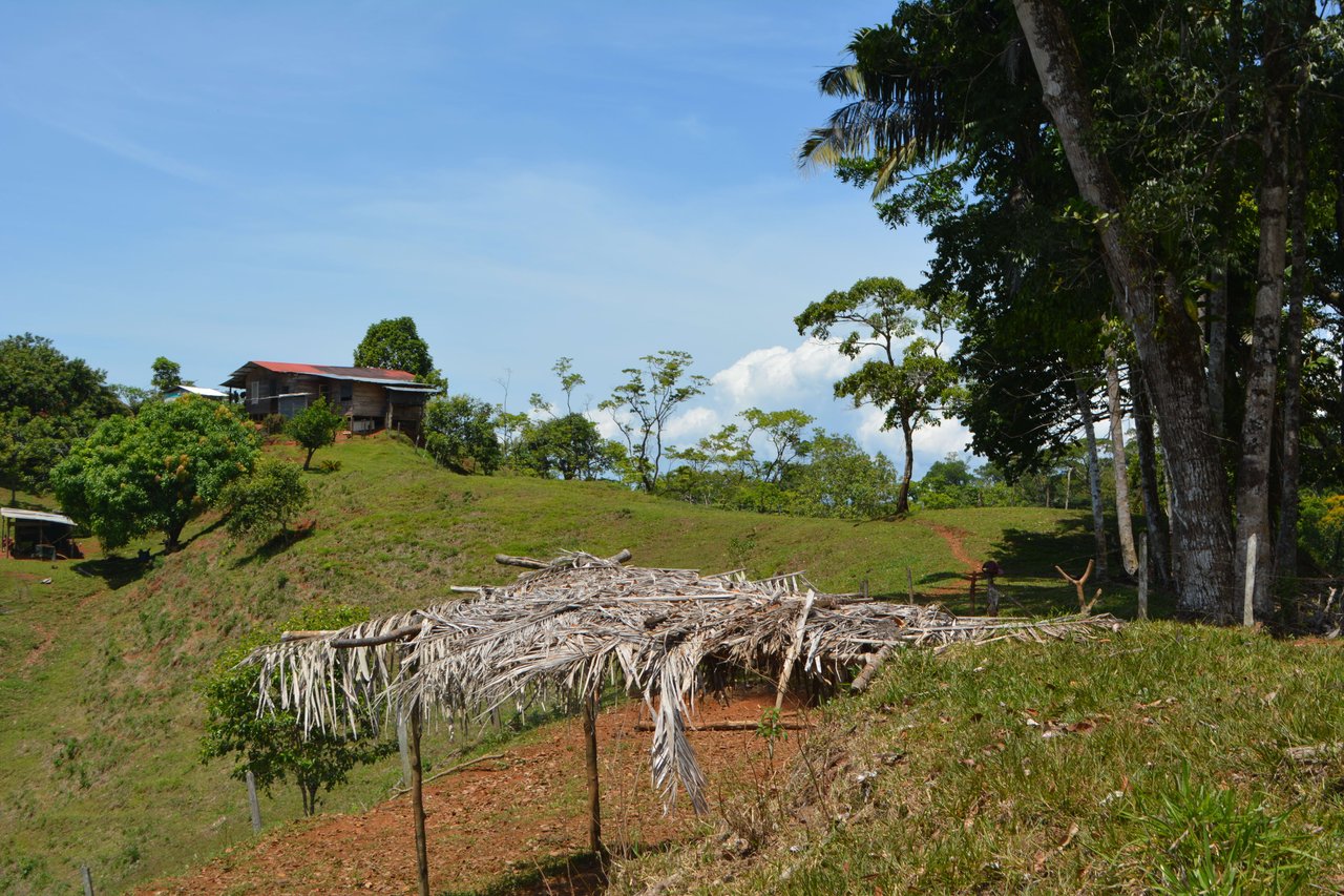 Osa Peninsula Los Mogos Magic Golfo Dulce Views 71 Acres