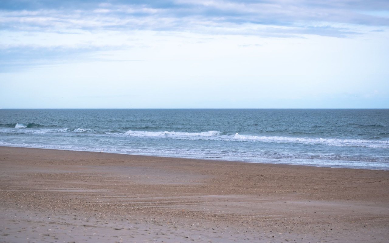 Survey: Spring Confidence to Heat Summer Market