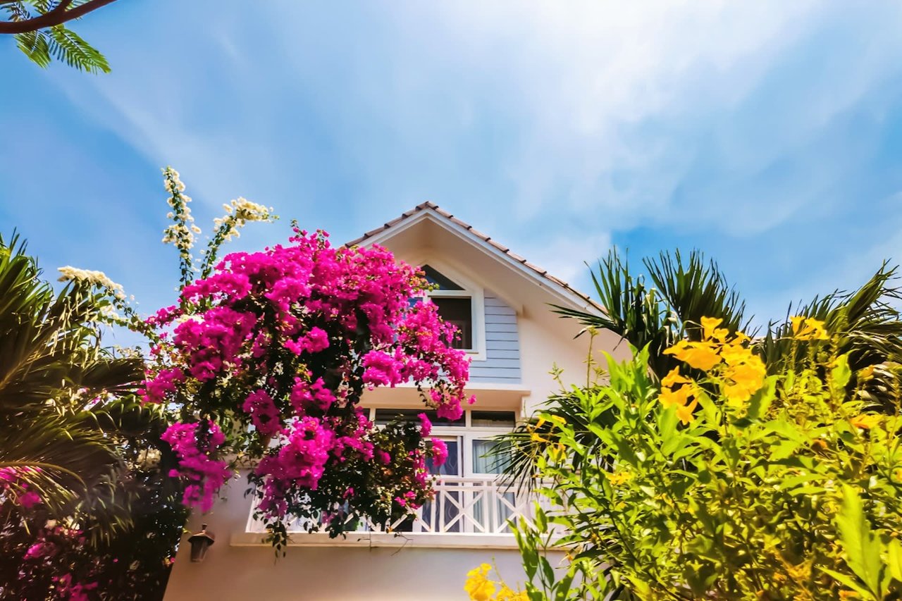 Maui Luxury Home Buying 101: What You Need to Know