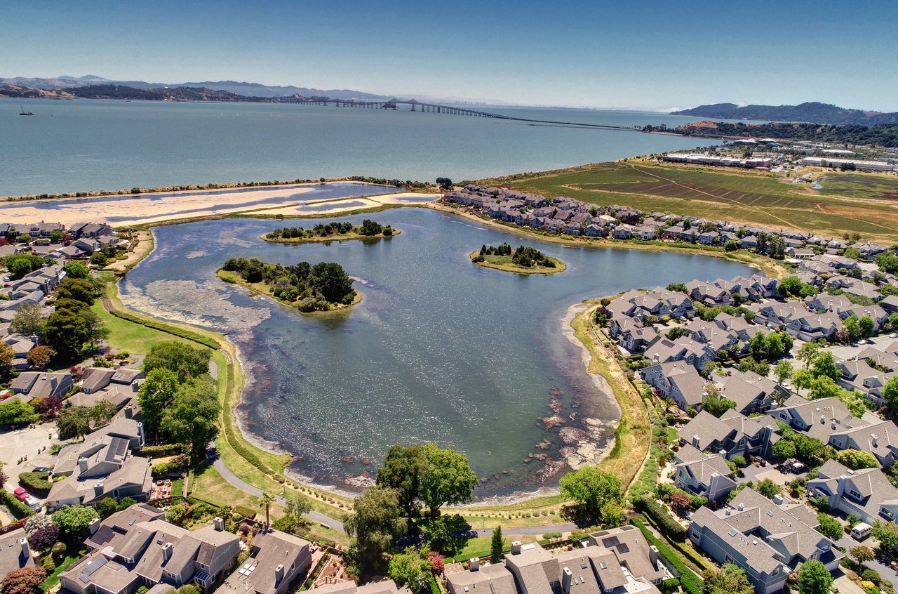 Vacation at Home on the Marin Bayshore