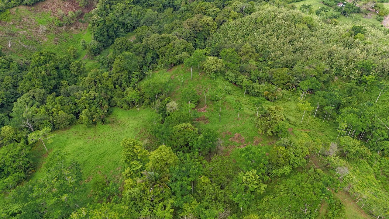 177 acre Ocean view property with multiple plantels, unspoiled mountain, jungle, river and waterfall areas