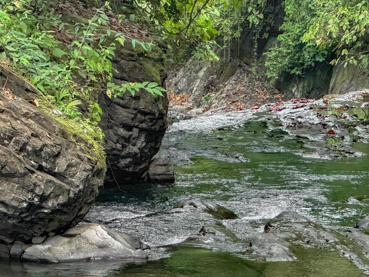 Waterfall Rainforest River Estate, Uvita, Puntarenas