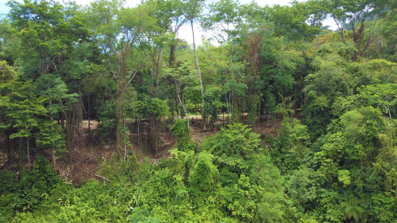 3.5 Acres of Paradise In Uvita, Jungle View!