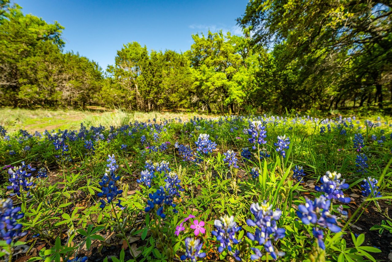 Cuatro Colinas Ranch