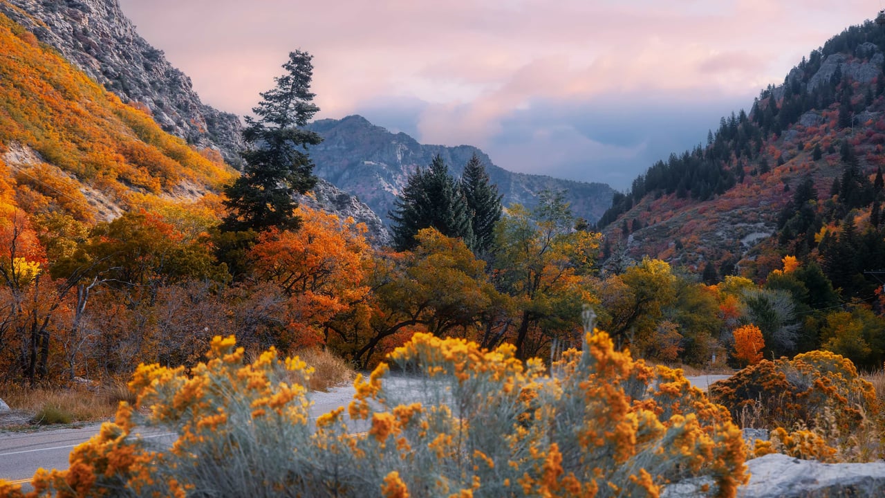 Mount Ogden