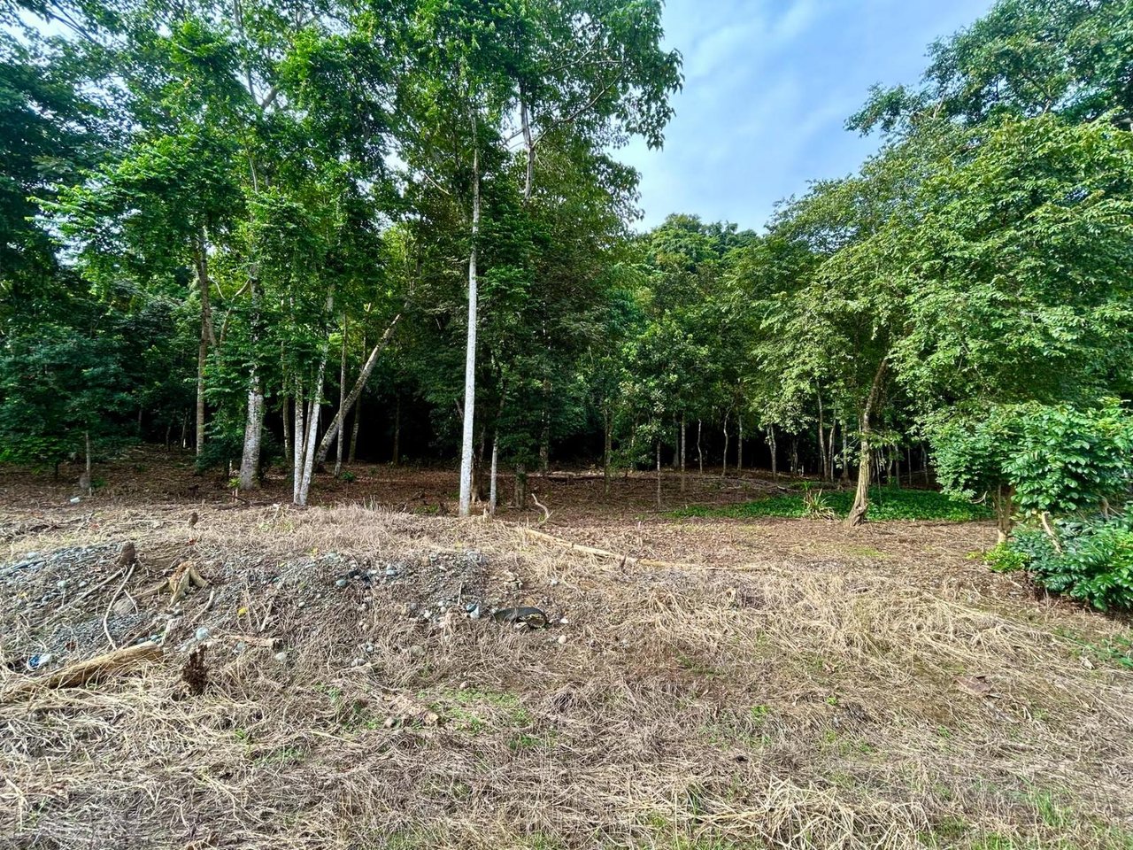 Flat Commercial Development Lot, Osa, Puntarenas