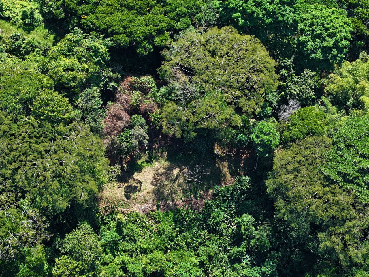 Unveil Paradise: Your Dream Homesite Awaits in Dominical, Costa Rica