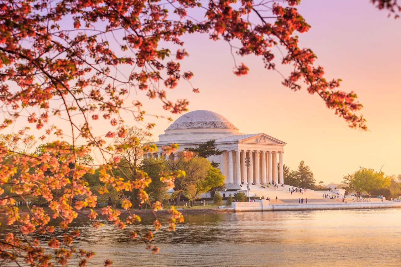 From Montgomery County to Washington DC, Which Area is Right for You?