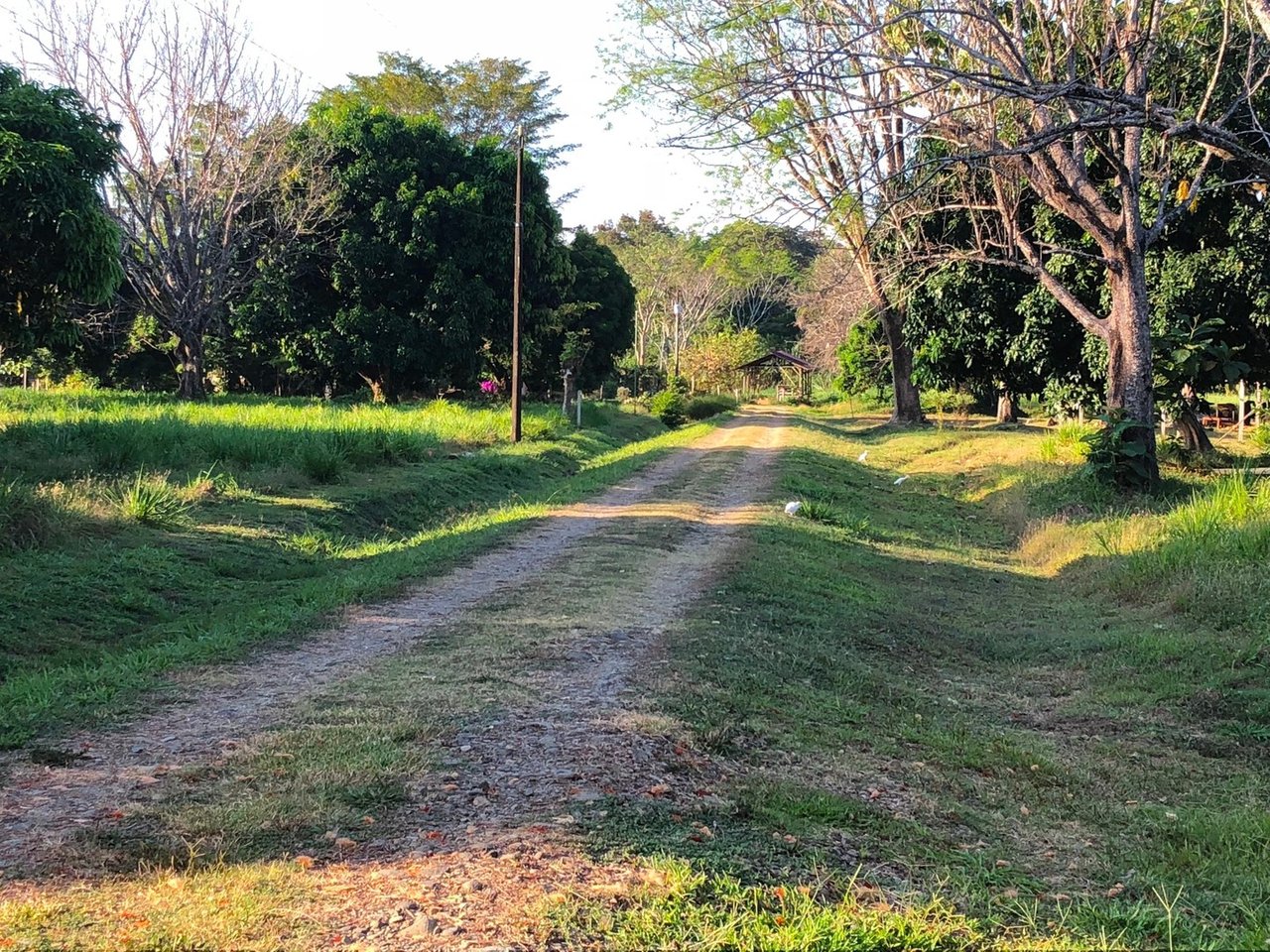 Coastal Development Land, Dominical, Puntarenas