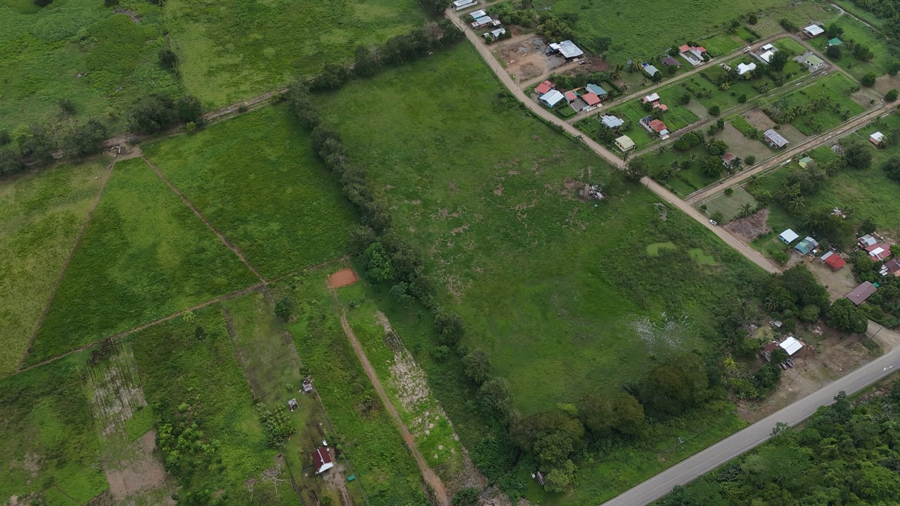 Fire Sale – Over 12 Acres of Land with Public Road Frontage Near Ojochal