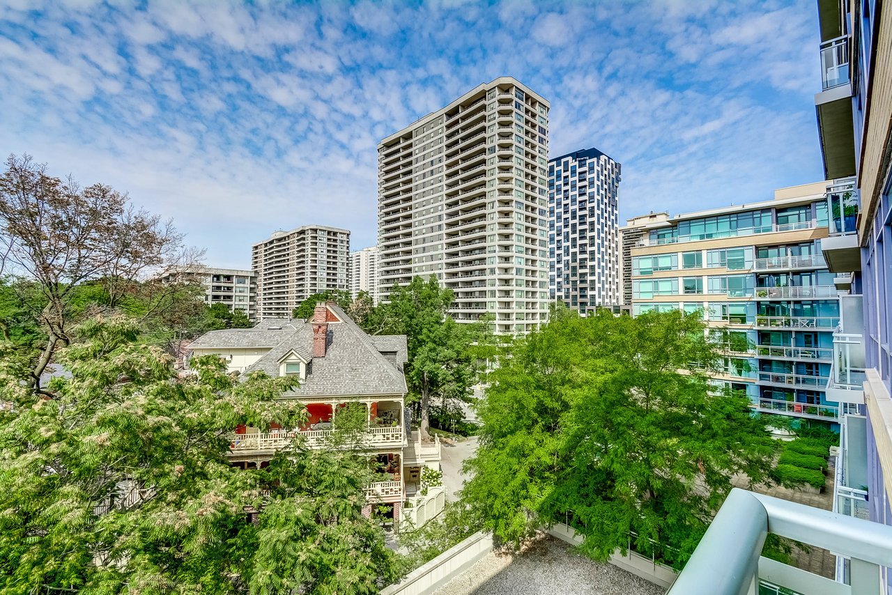 HIGH PARK TREETOP OASIS