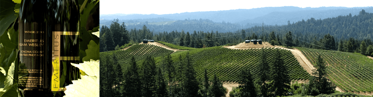 Emeritus Willam Wesley Vineyard sold to J Vineyards and Winery (SOLD)