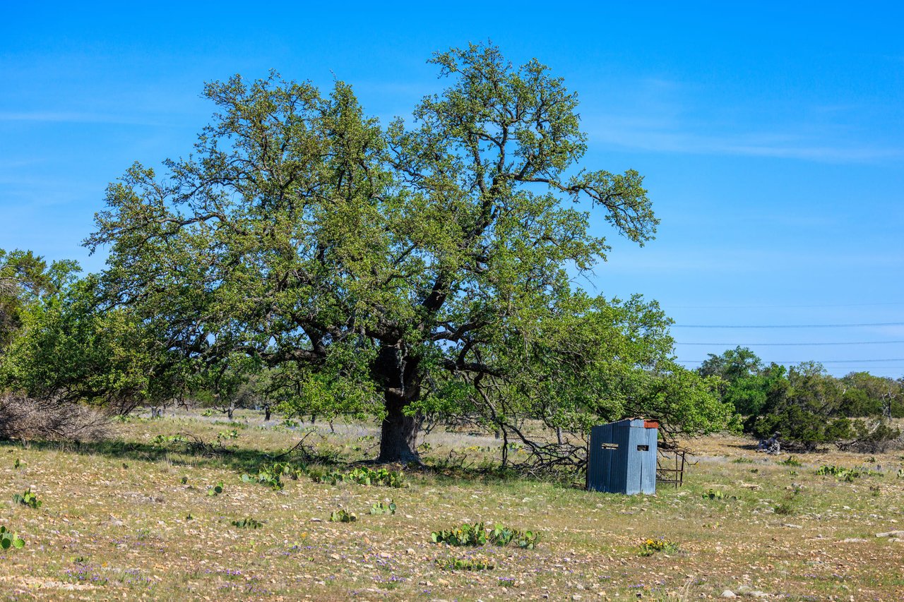 Morse Ranch