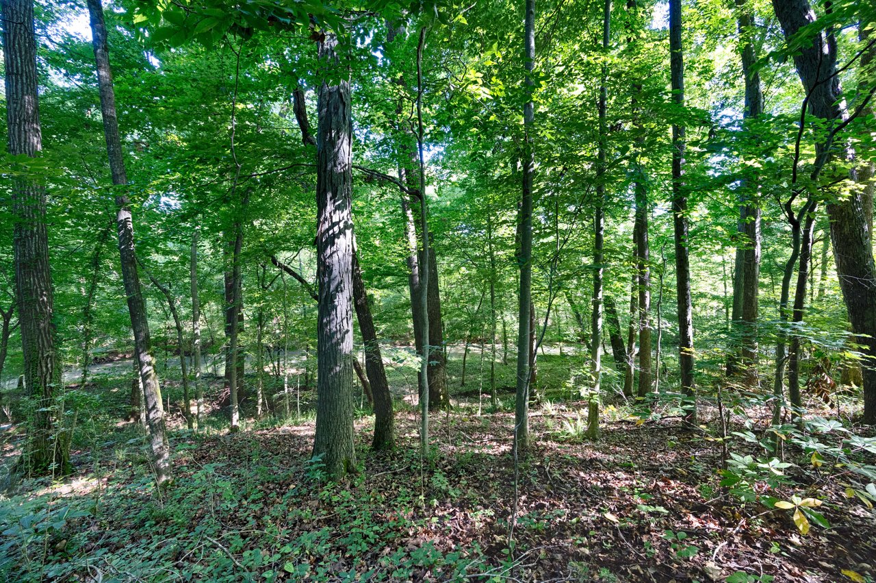Hidden Gem In Huntsville! Access to Indian Creek!