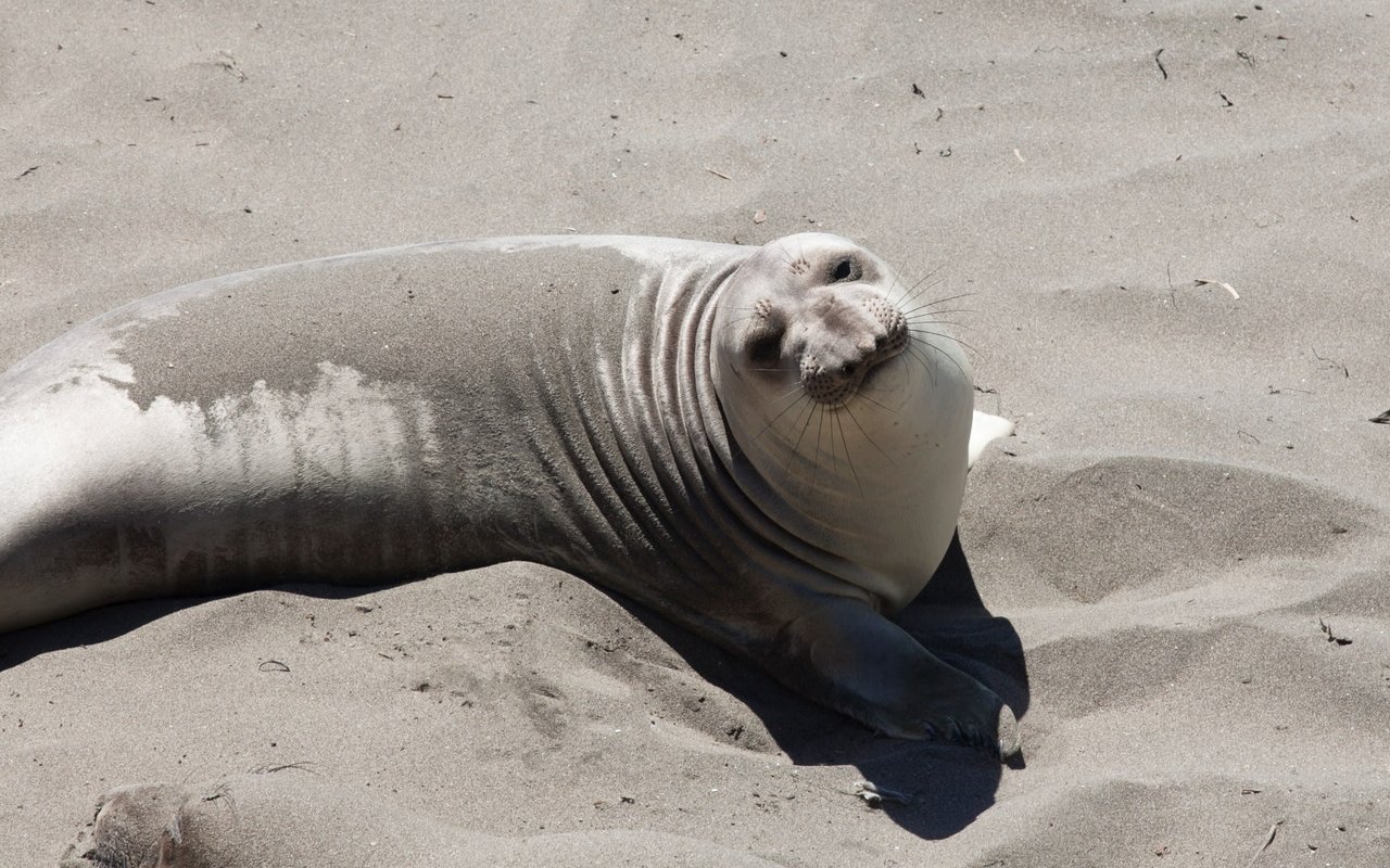 Carpinteria