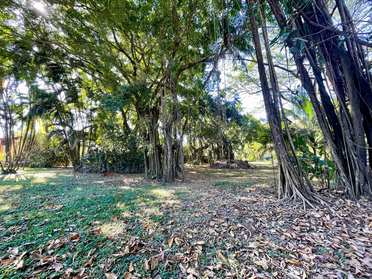 Prime Beachfront Commercial Lot, Santa Teresa, Puntarenas