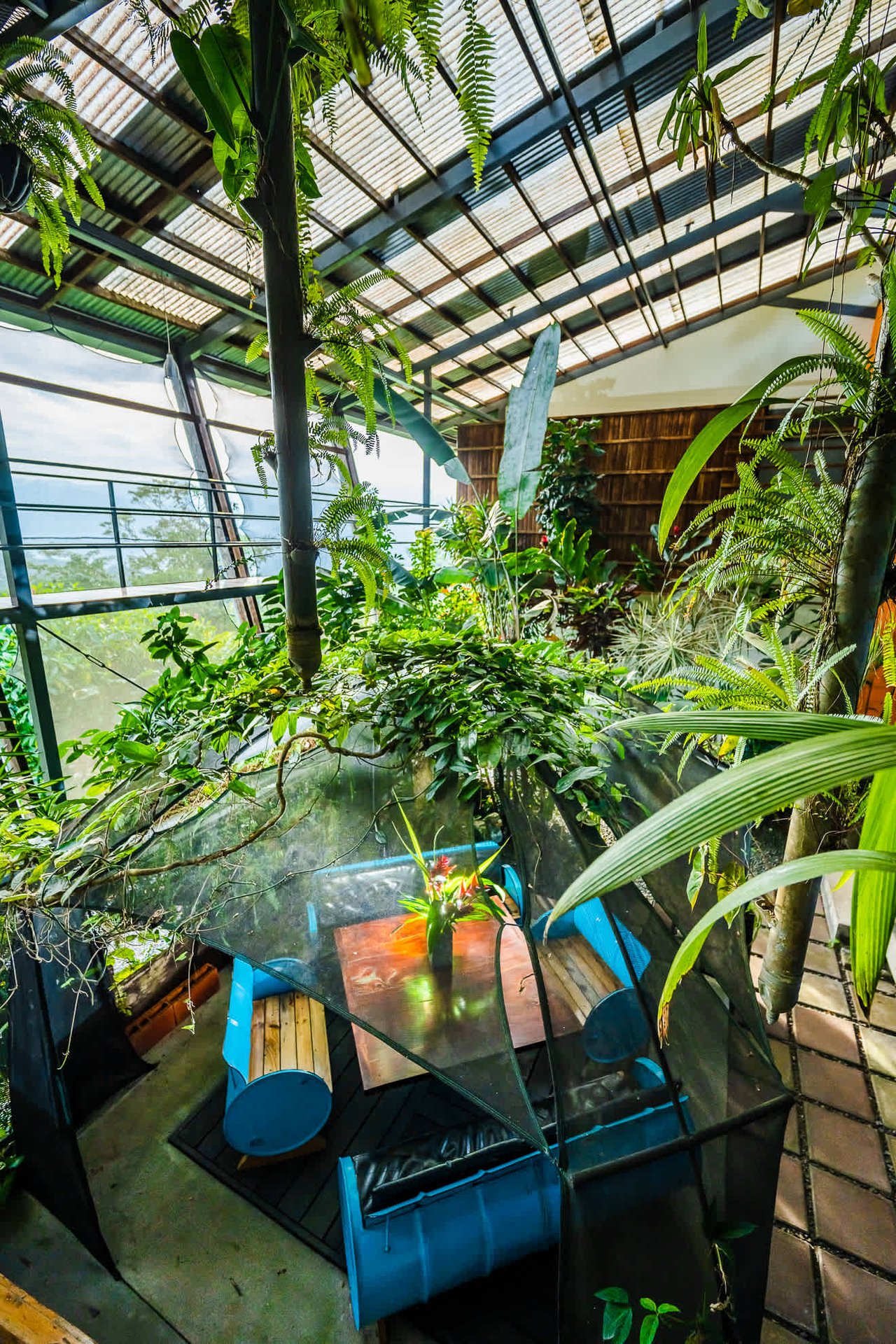 Celeste Mountain Lodge | Mountain Hotel/Resort/Hostel For Sale!