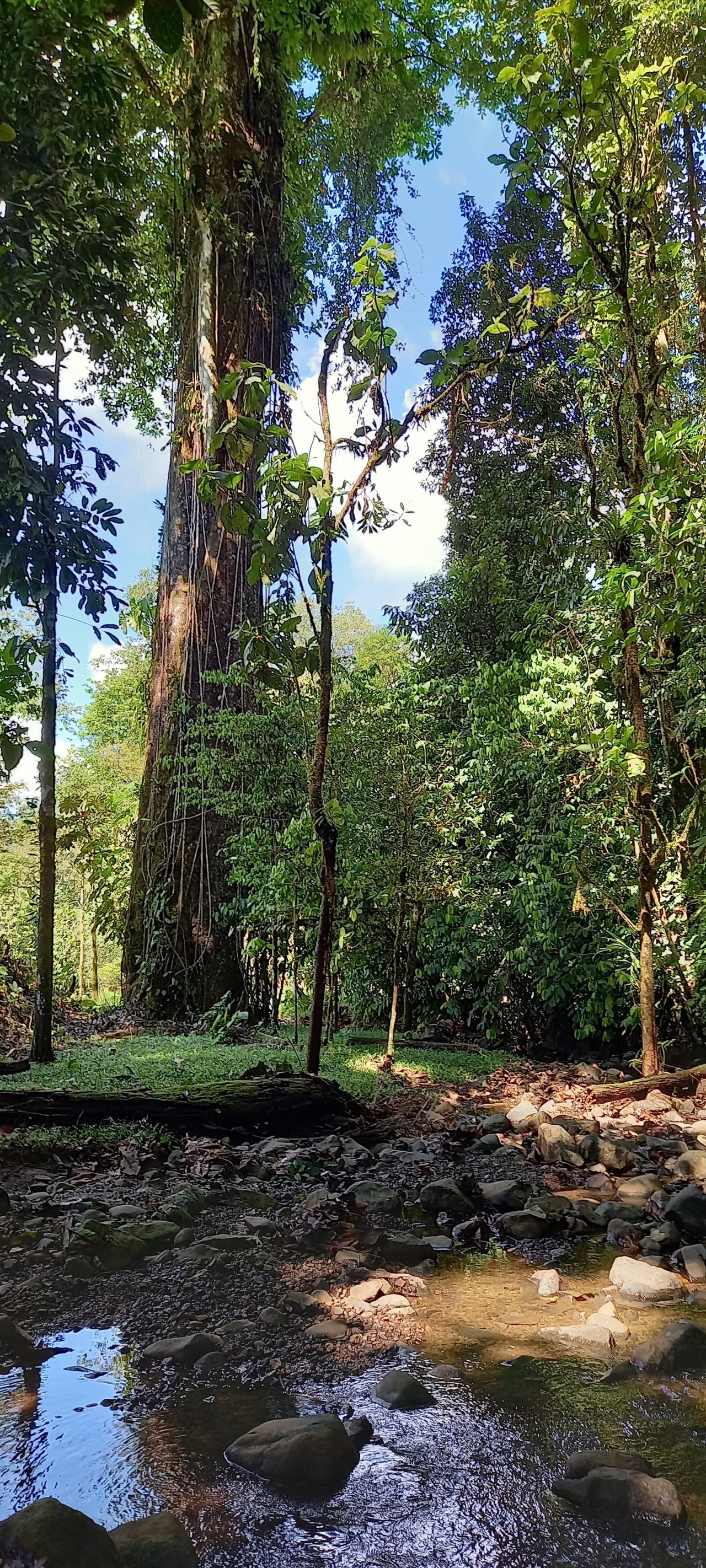 Osa Peninsula Magic 