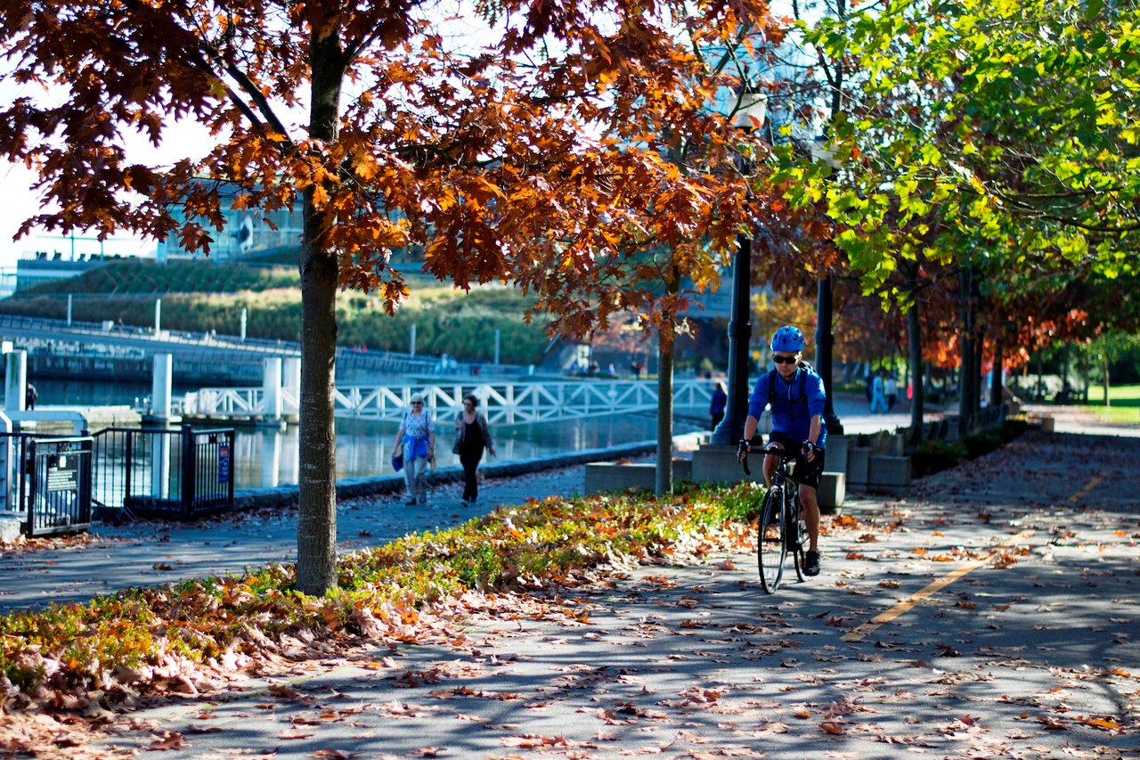 Coal Harbour