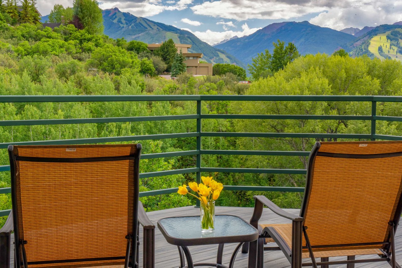 Fabulous Home in Aspen 