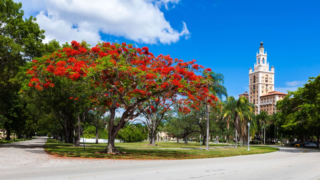 CORAL GABLES