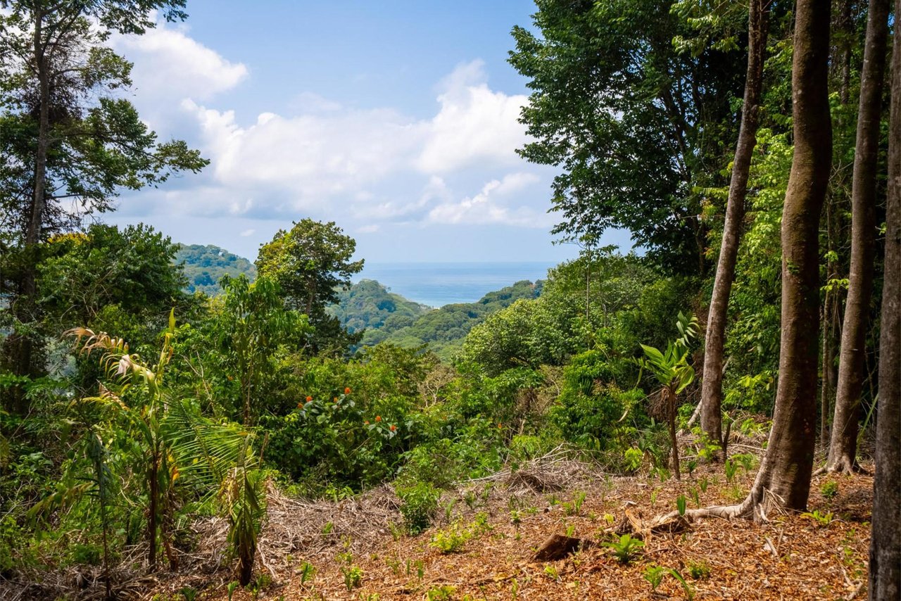 Private Ocean View Development Lot, Dominical, Puntarenas