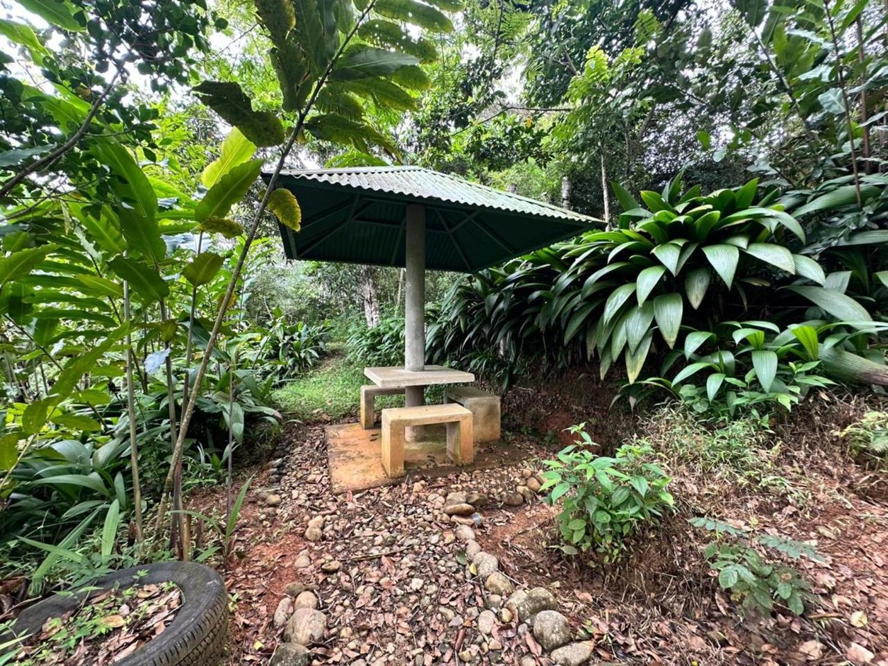 Waterfall Eco Hotel Estate, Perez Zeledon, San Jose