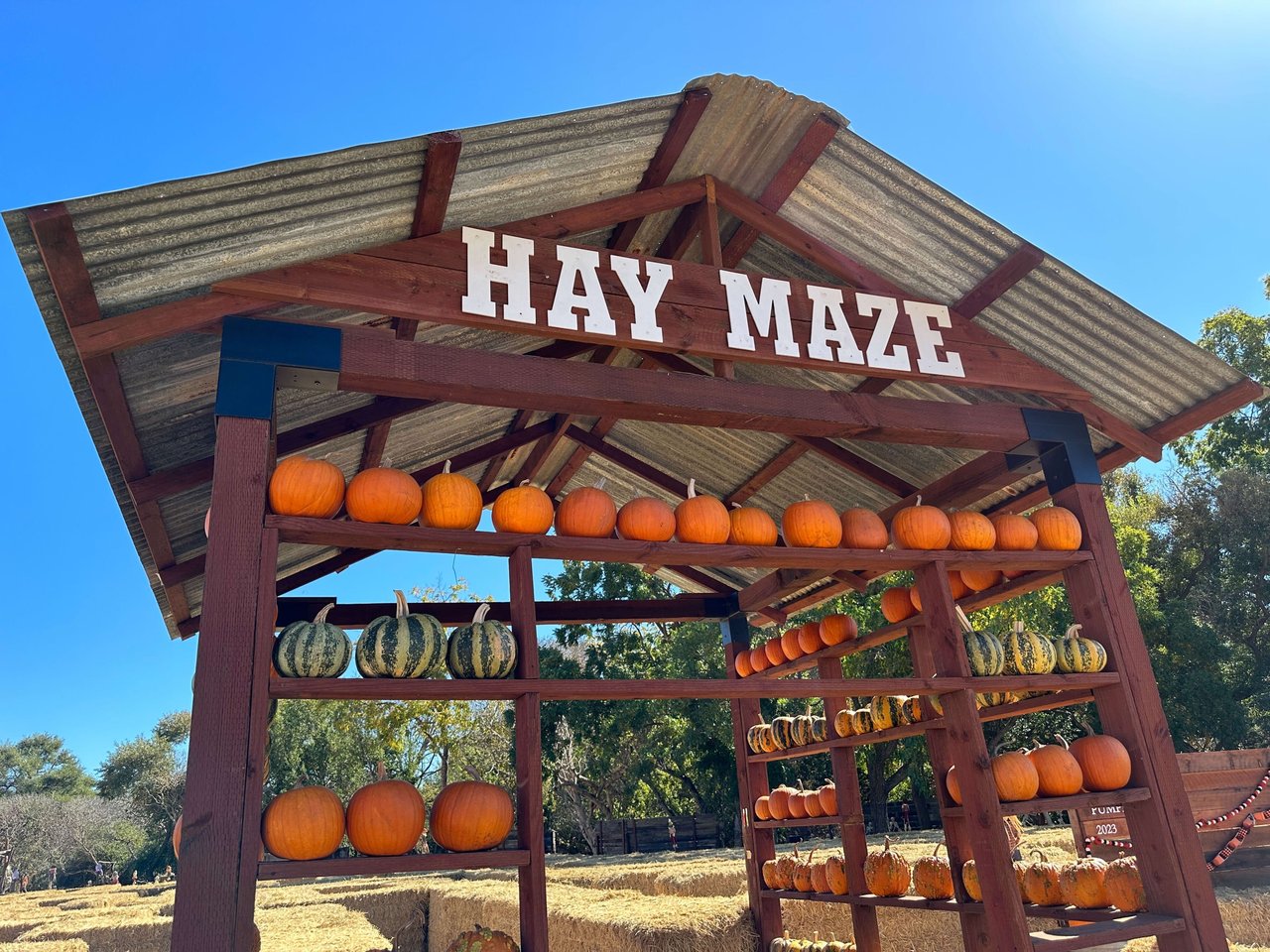 Fall Fun Awaits at Mickelson Pumpkin Patch