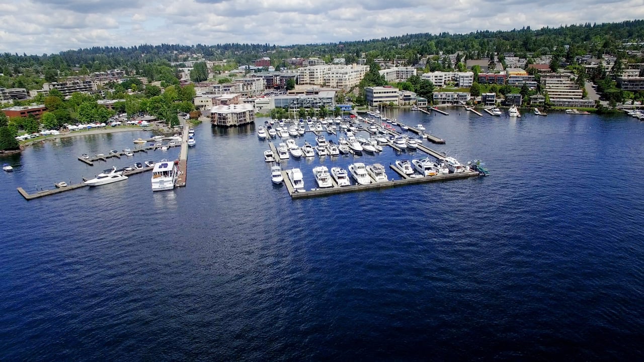 An aerial view of a marina filled with boats of various sizes, docked along the shoreline