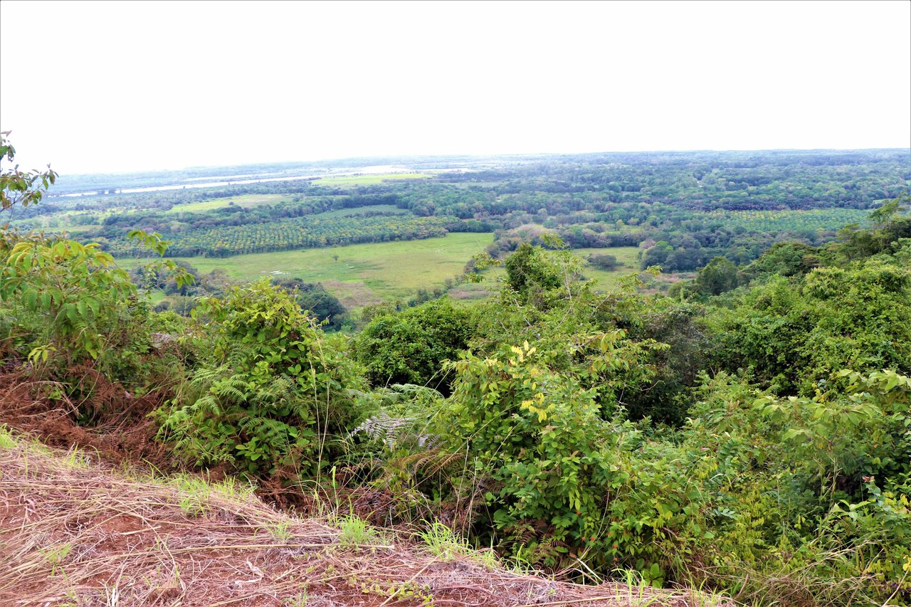 9 acres property with 360 panoramic views and 80m highway frontage