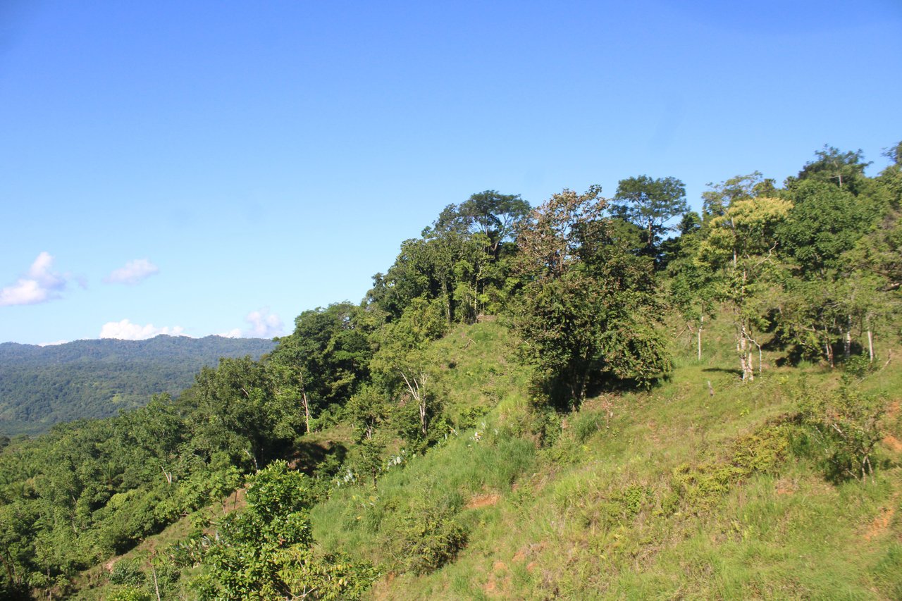 90 acre Farm, Inexpensive with lots of potential close to Rio Claro