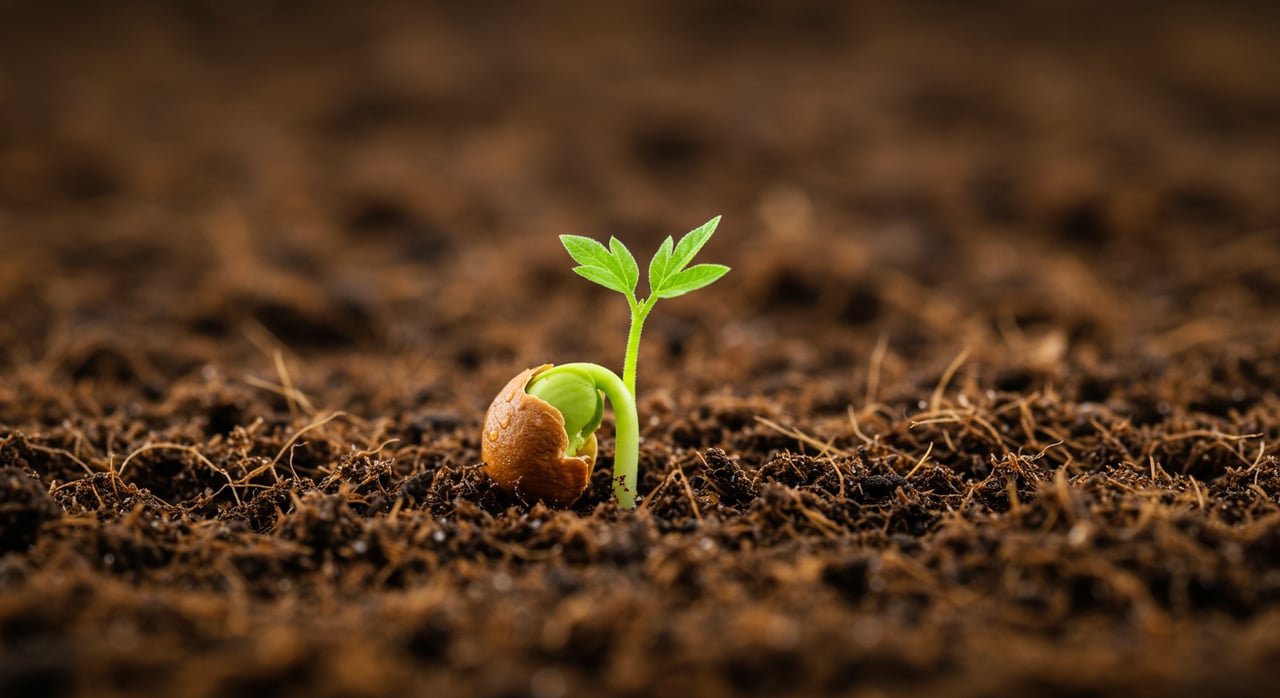 Reuse and Recycle – Understanding Composting