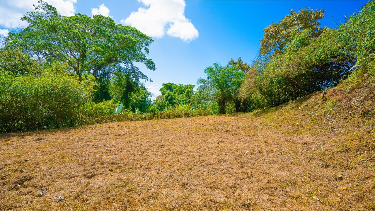 Forest View Build Ready Lot, Ojochal, Puntarenas