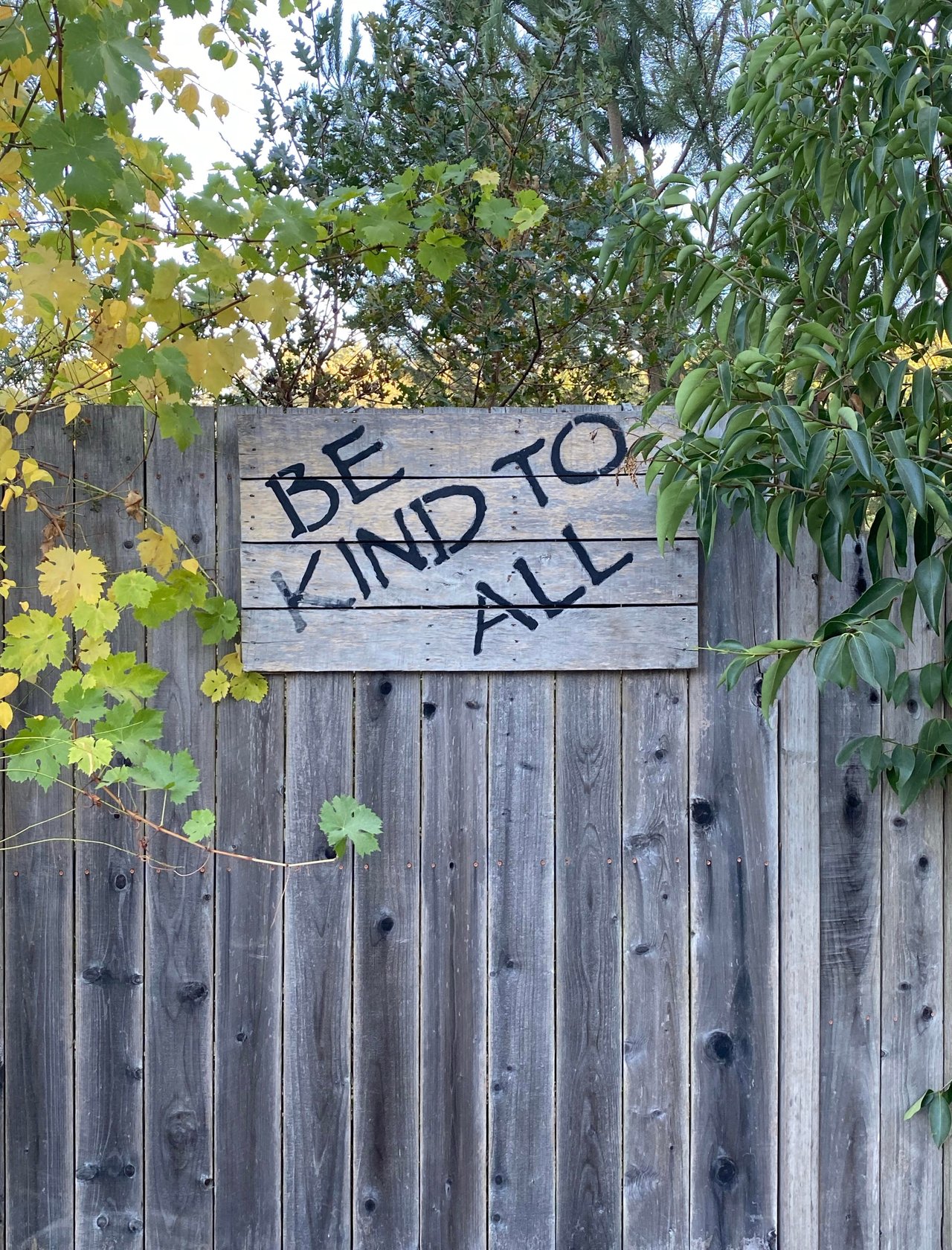 585 San Geronimo Valley Drive, San Geronimo