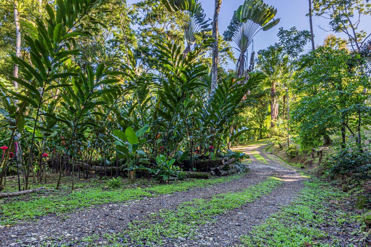 Uvita, Jungle Retreat Center on the Uvita River. Private and 17 Acres