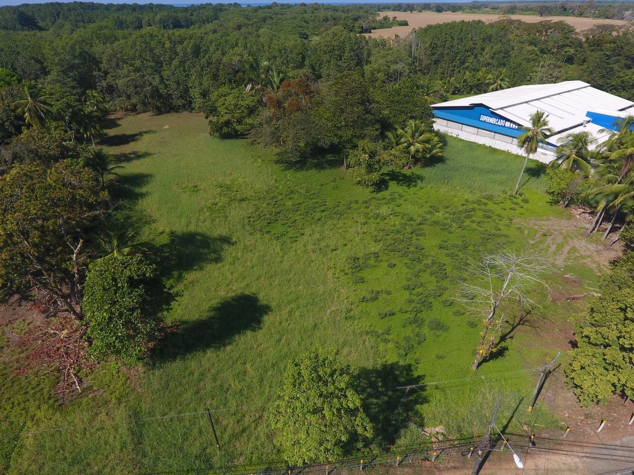 Quepos Commercial Property