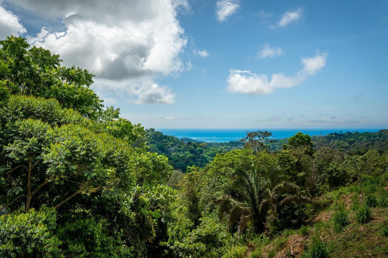 Amazing San Josecito New Build With Full Whales Tail Sunset Views