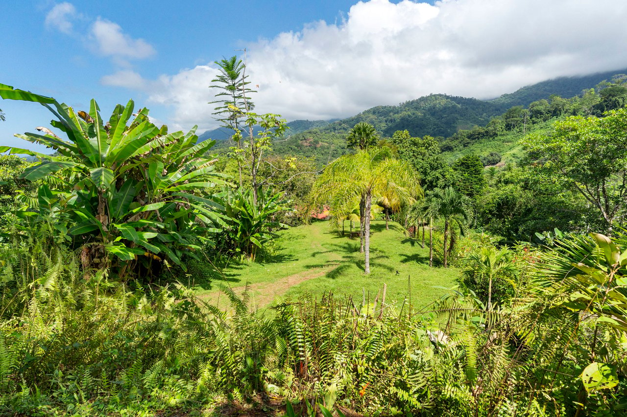 Cozy Sunset Ocean-View Bungalow On 3.5 Acres Of Jungle With Creeks, & Abundant Wildlife In Tres Rios Costa Rica