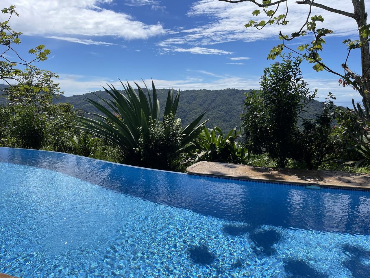 5.2 Acres, 2 Bedroom Home With 60 Ft Infinity Lap Pool, 1 Bedroom Guest House, Ocean View!